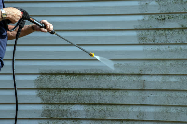 Best Local Pressure Washing Services  in Assumption, IL
