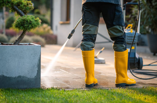 Best Affordable Pressure Washing  in Assumption, IL